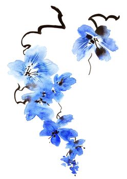 Watercolor illustration of blossom tree branch with blue flowers. Oriental traditional painting in style sumi-e, u-sin and gohua. Flowers on white background.