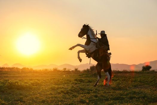 cowboy and horse at first light,mountain, river and lifestyle with natural light background	