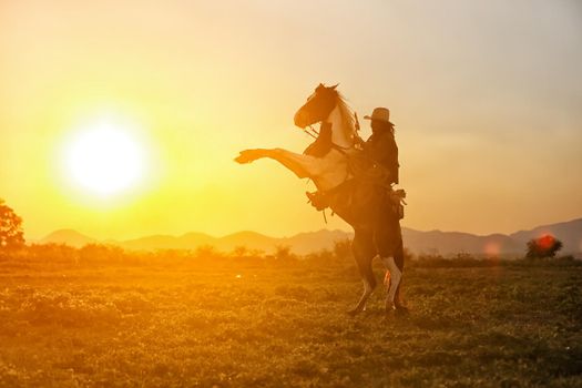 cowboy and horse at first light,mountain, river and lifestyle with natural light background	