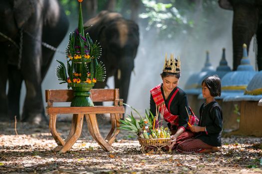 Beautiful young Asian woman dressed in traditional native dress and elephant in forest of village Surin Thailand	
