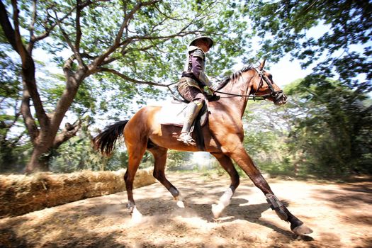 Aisan Thai soldier in the history scene with armor suit costume and horse	
