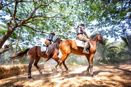 Aisan Thai soldier in the history scene with armor suit costume and horse	
