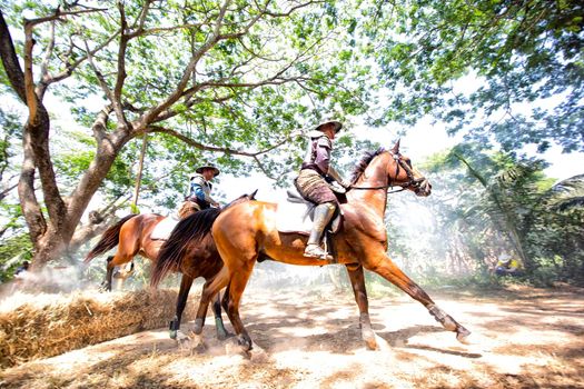 Aisan Thai soldier in the history scene with armor suit costume and horse	
