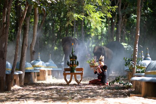 Elephant with Asian girl