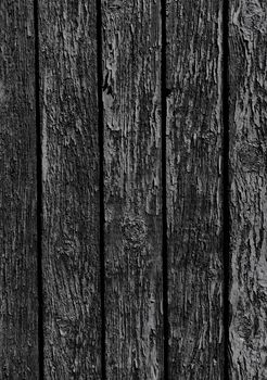 Dark wooden old texture background. Natural wood plank material backdrop. Black color tree interior or exterior