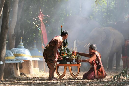 An elephant mahout and elephant walking through the haze in the jungle. Lifestyle of surin elephants village.