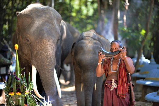 An elephant mahout and elephant walking through the haze in the jungle. Lifestyle of surin elephants village.