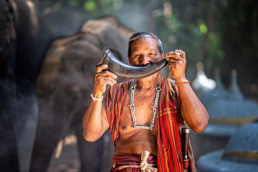 An elephant mahout and elephant walking through the haze in the jungle. Lifestyle of surin elephants village.