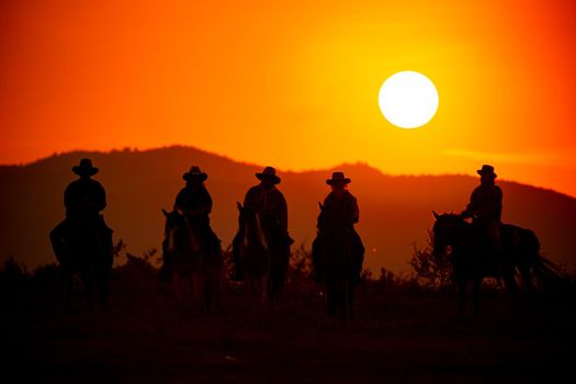 cowboy riding horse against sunset	
