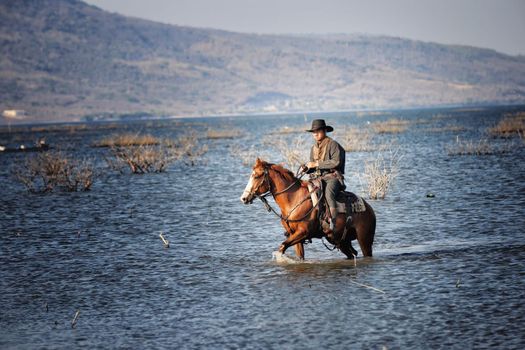 cowboy and horse at first light,mountain, river and lifestyle with natural light background	