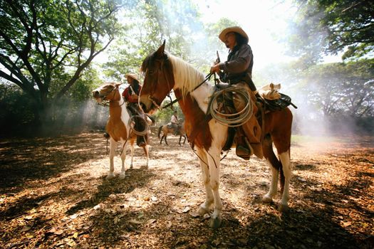 cowboy and horse at first light,mountain, river and lifestyle with natural light background	