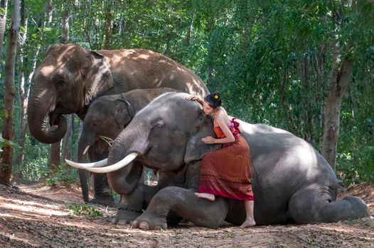 Portrait of Beautiful rural Thai woman wear Thai dress with elephant in Surin Province, Thailand