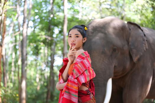 Portrait of Beautiful rural Thai woman wear Thai dress with elephant in Surin Province, Thailand