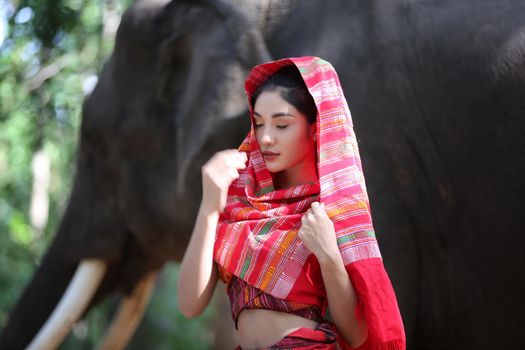 Portrait of Beautiful rural Thai woman wear Thai dress with elephant in Surin Province, Thailand