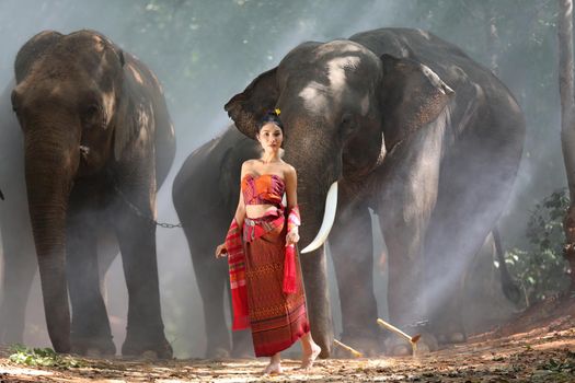 Portrait of Beautiful rural Thai woman wear Thai dress with elephant in Surin Province, Thailand