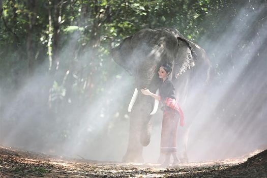 Portrait of Beautiful rural Thai woman wear Thai dress with elephant in Surin Province, Thailand