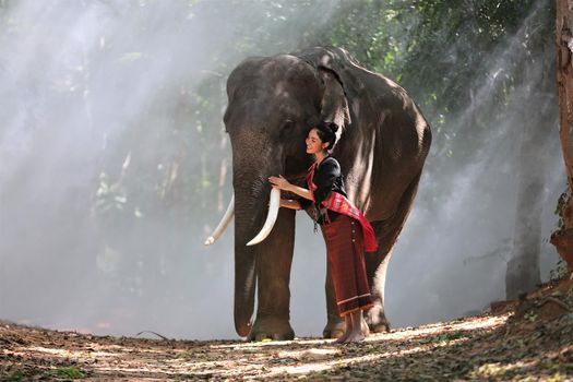 Beautiful young Asian woman dressed in traditional native dress and elephant in forest of village Surin Thailand	
