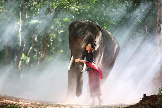 Beautiful young Asian woman dressed in traditional native dress and elephant in forest of village Surin Thailand	
