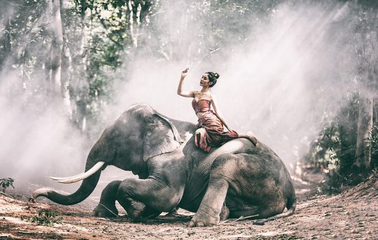 Beautiful thai girl woman wearing native culture dresses spending time with elephant in the jungle at countryside, elephant village Surin, Thailand
