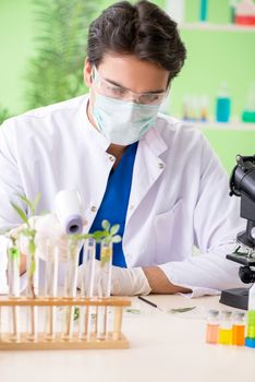 Young biotechnology scientist chemist working in lab