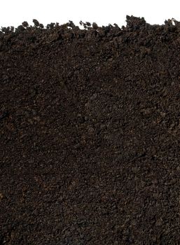 soil for planting on a white background