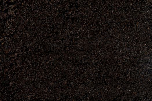 soil for planting background