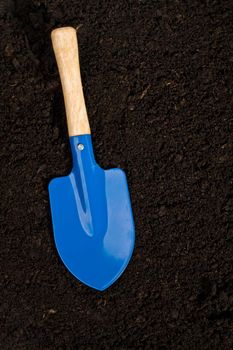 shovel in soil for flower and seedingses background