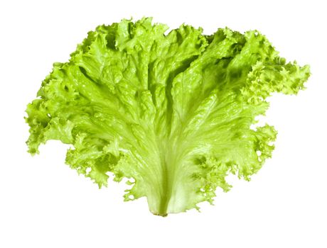 green salad on white background