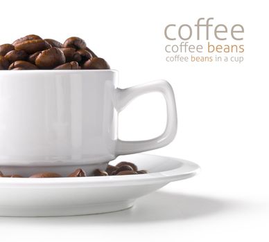 coffee beans in a cup iclose up on white background
