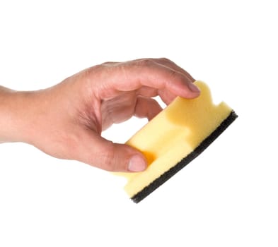 Household sponge in a hand on a white background