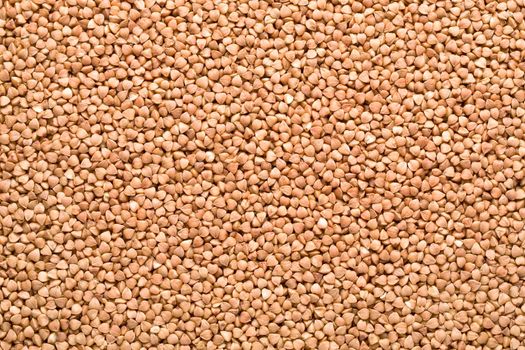 buckwheat background