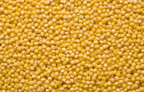 Millet Texture, Background close up