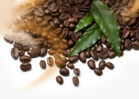 coffee grains and leaves on white background