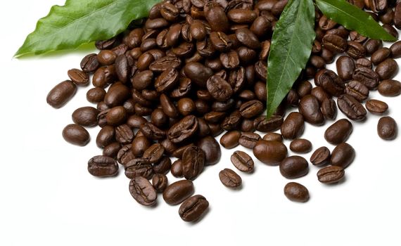 coffee grains and leaves on white background