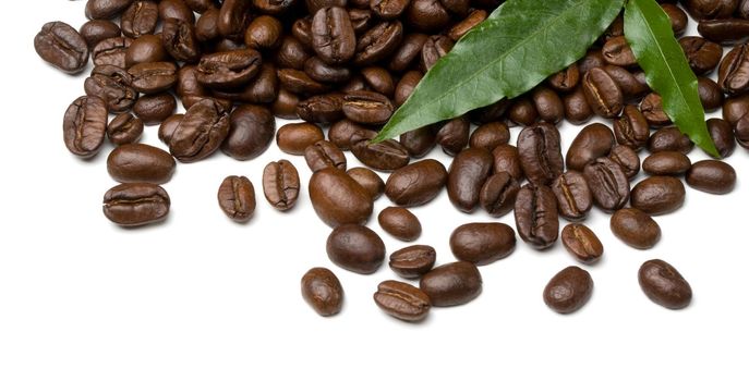 coffee grains and leaves on white background