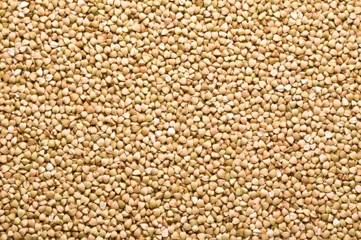  very useful green buckwheat background