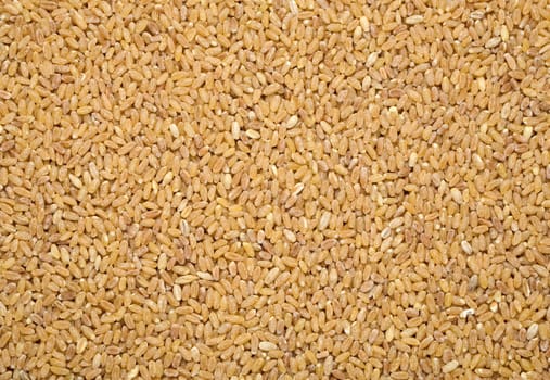 barley background, overview top