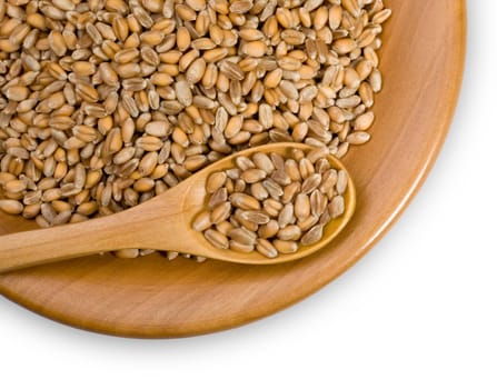 wooden plate with grains of  wheat, close-up