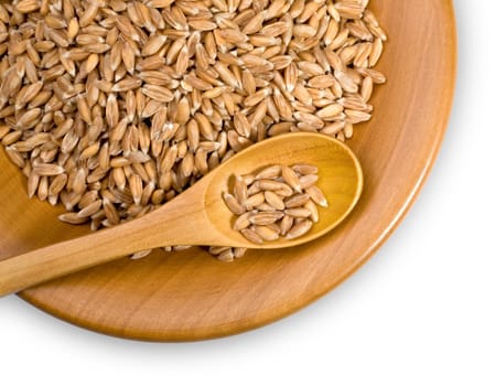 wooden plate with grains of dinkel, close-up