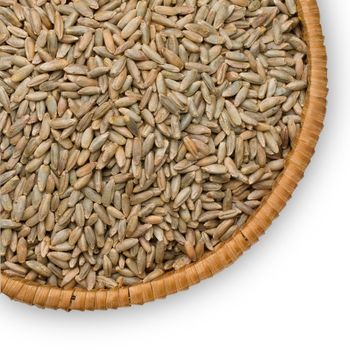  rye close-up on a plate of straw isolated on white background