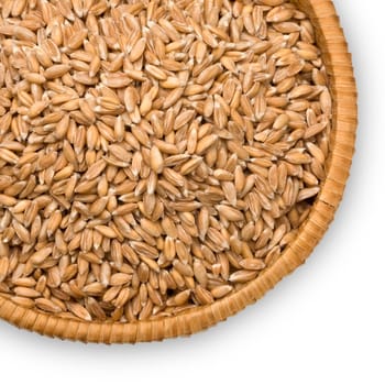 wheat dinkel close-up on a plate of straw isolated on white background