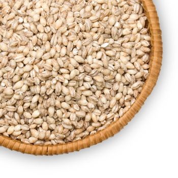  barley  close-up on a plate of straw isolated on white background