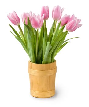 Pink tulips bouquet in vase isolated on white background