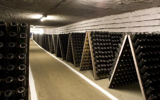 aging champagne bottles in the cellars of the winery