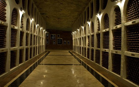 vineyard cellar with old bottles