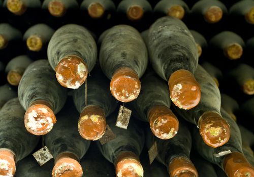 vineyard cellar with old bottles