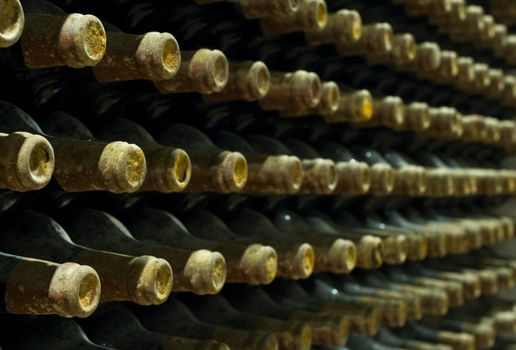 vineyard cellar with old bottles