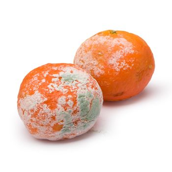 a moldy orange isolated on a white background