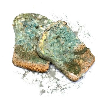 Photo of a piece of the gray bread, covered a mold (on a white background)