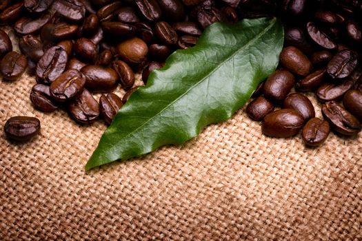 Coffee Beans over canvas Background